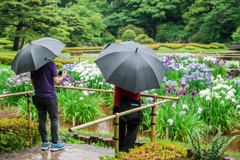 皇居　二の丸庭園