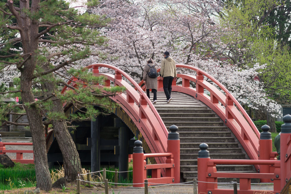 2024 春の称名寺