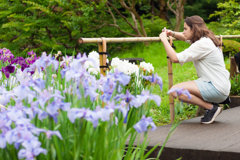 皇居　二の丸庭園