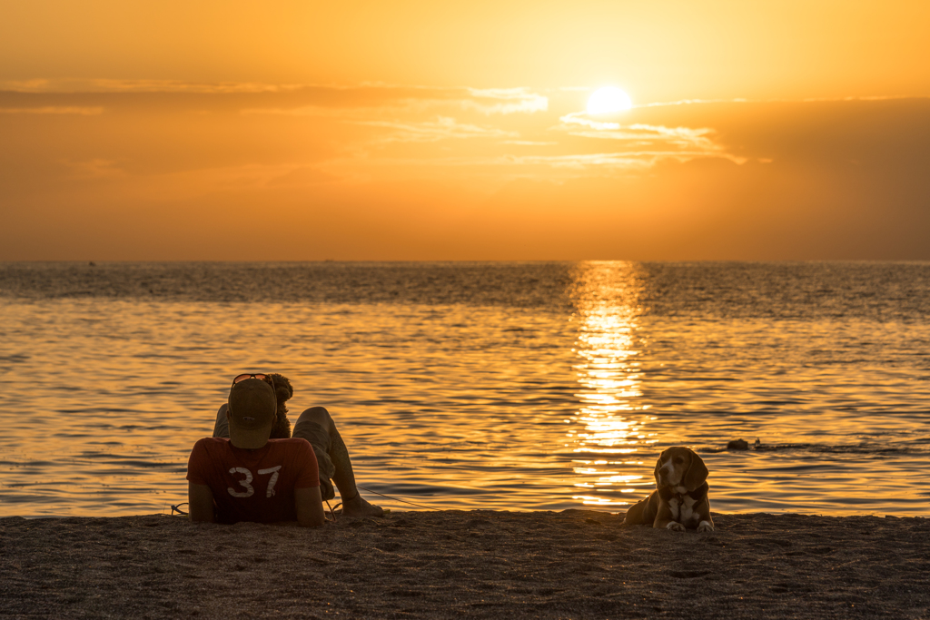 逗子海岸　夕景