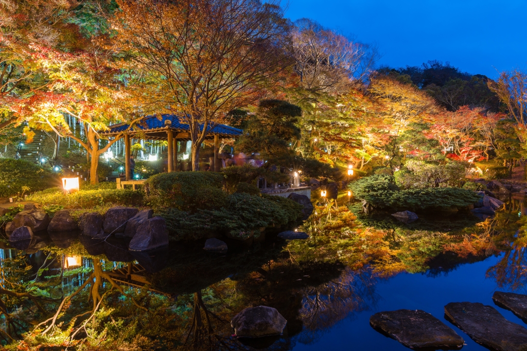 大磯城山公園　紅葉ライトアップ2023
