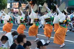 第65回 東京高円寺阿波おどり