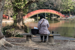 金沢文庫　称名寺