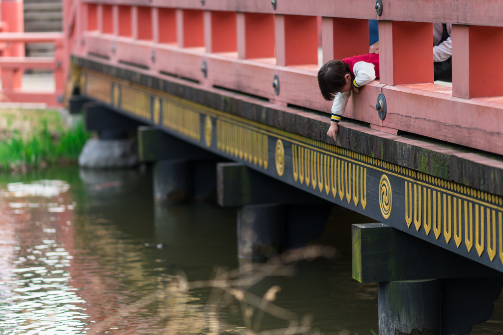 2024 春の称名寺