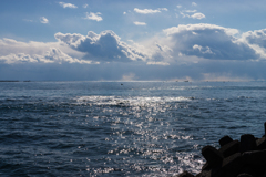 秋谷漁港スナップ