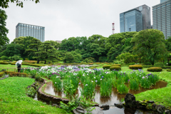 皇居　二の丸庭園