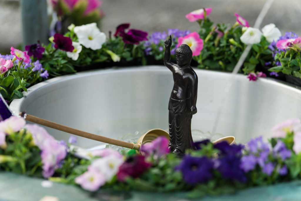 西中山 常照寺 花まつり