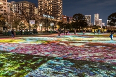 山下公園　プロジェクトマッピング