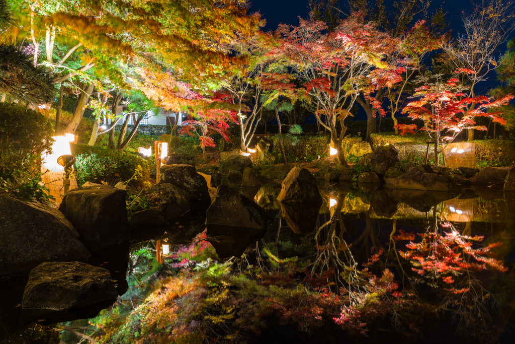 大磯城山公園　紅葉ライトアップ2023