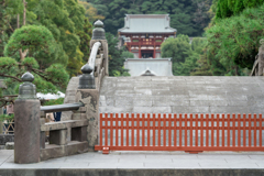 鎌倉、鶴岡八幡宮スナップ