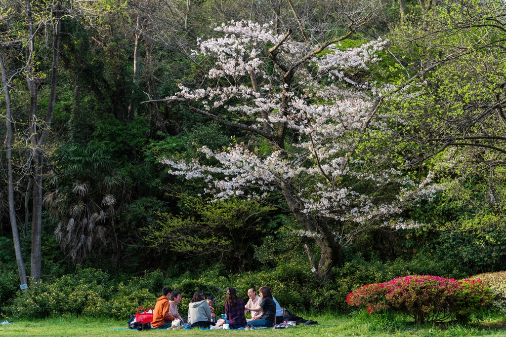 2023年　春の称名寺