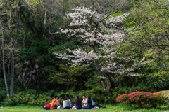 2023年　春の称名寺