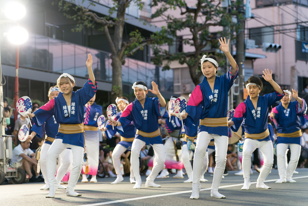 第64回 東京高円寺阿波おどり