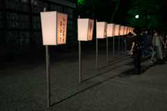 鎌倉八幡宮　ぼんぼり祭り