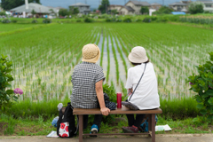 2023開成町あじさいまつり