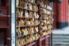 鶴岡八幡宮