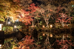 大磯城山公園　紅葉ライトアップ