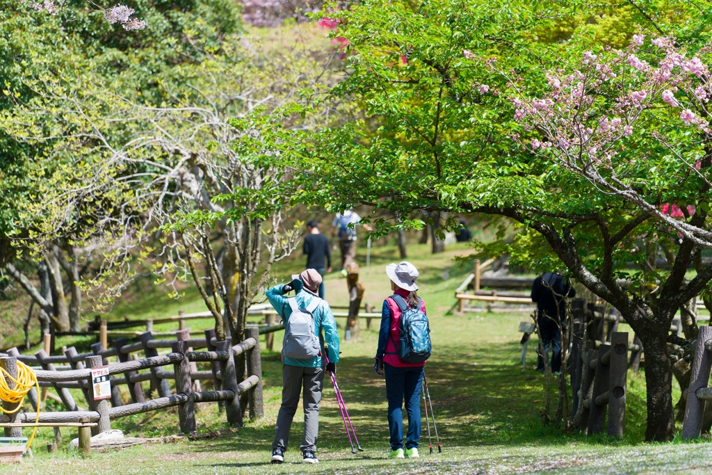 最明寺史跡公園