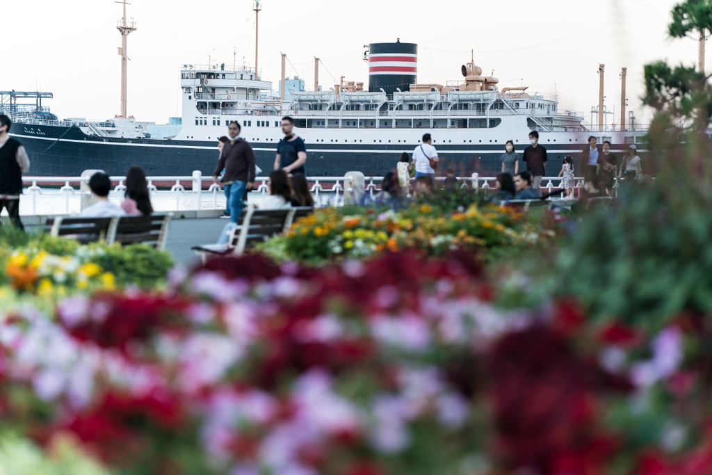 山下公園　スナップ