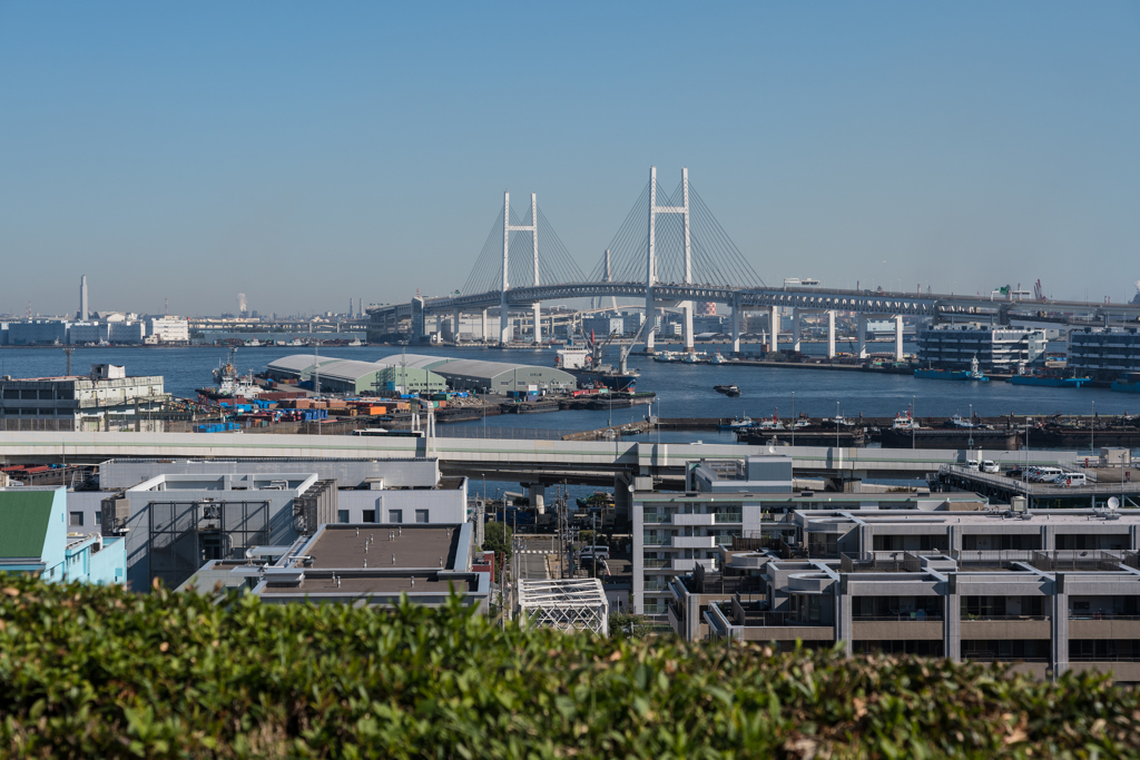 港の見える丘公園 スナップ