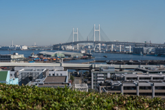 港の見える丘公園 スナップ