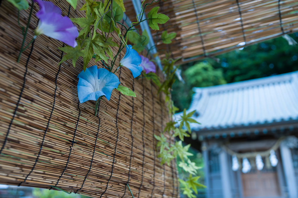 江ノ島　スナップ