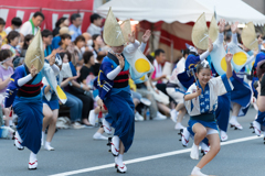 第65回 東京高円寺阿波おどり