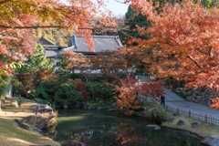 秋の円覚寺