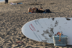 逗子海岸スナップ