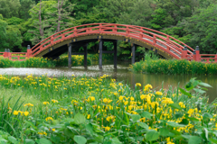 春の称名寺