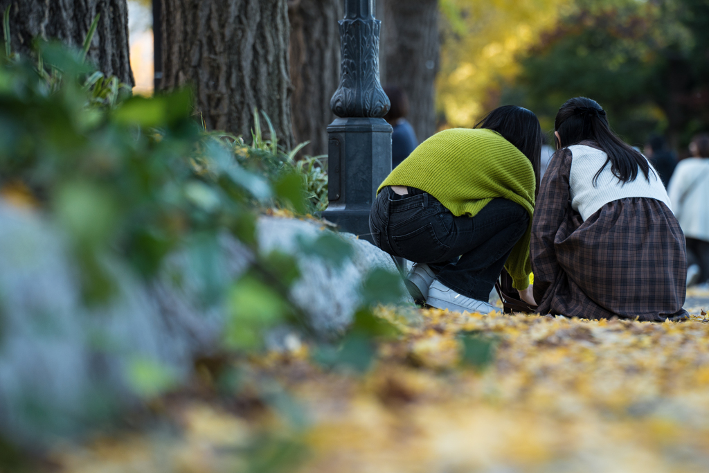 山下公園　紅葉
