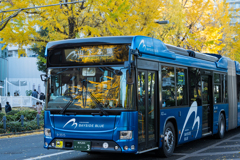 山下公園　紅葉