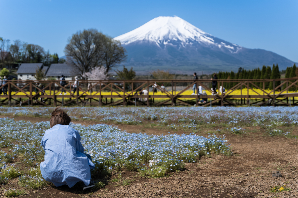 花の都公園