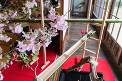 旧伊藤博文金沢別邸の春