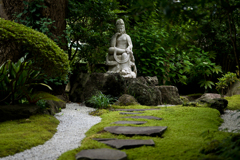 報国寺　クロップ