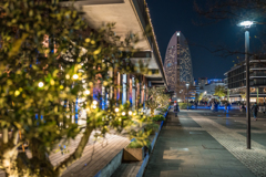 横浜夜スナップ