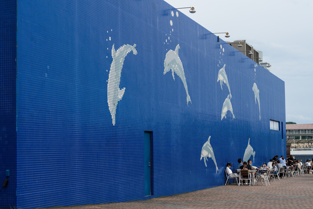 八景島あじさい祭り2023