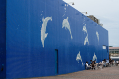 八景島あじさい祭り2023