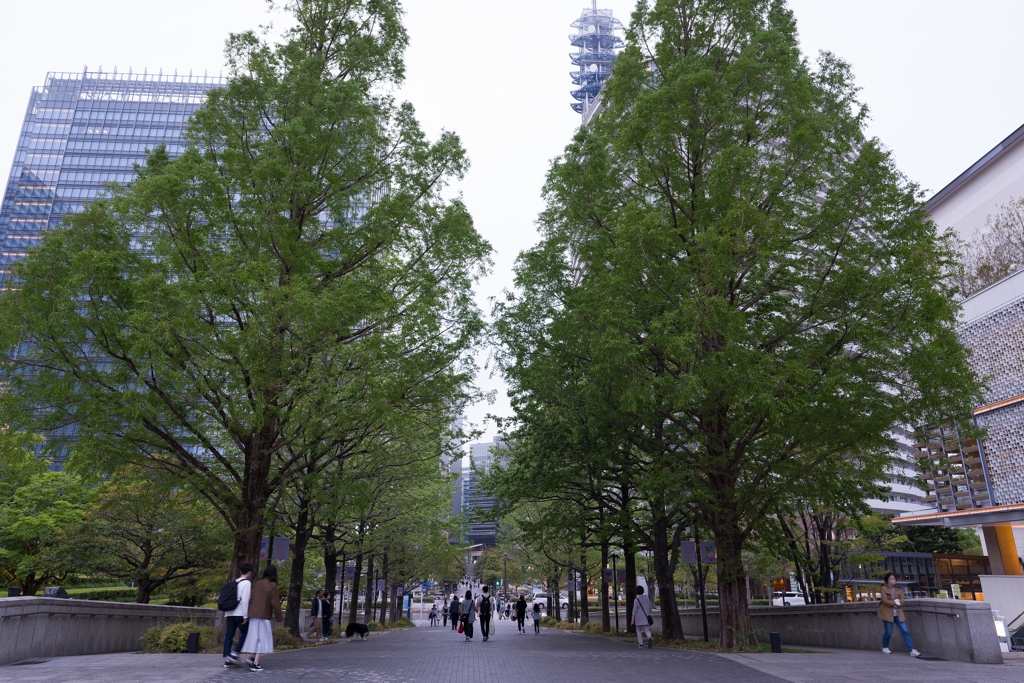 スターモール公園