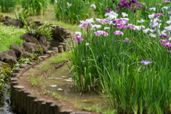 皇居　二の丸庭園