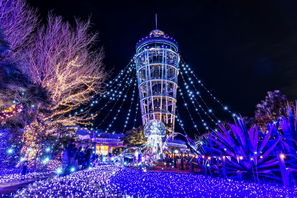 湘南の宝石 2024