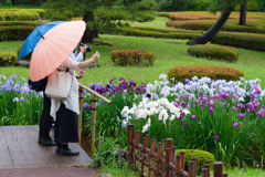 皇居　二の丸庭園