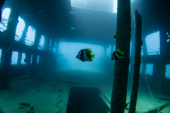 沈船　あさしお丸