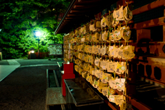 鎌倉　鶴岡八幡宮　夜スナップ
