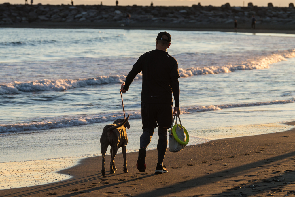 茅ヶ崎スナップ