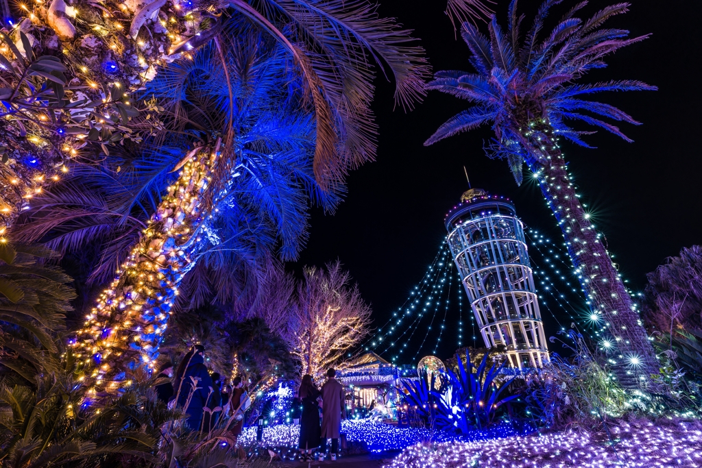 湘南の宝石 2024