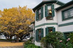 ブラフ18番館　クリスマス装飾