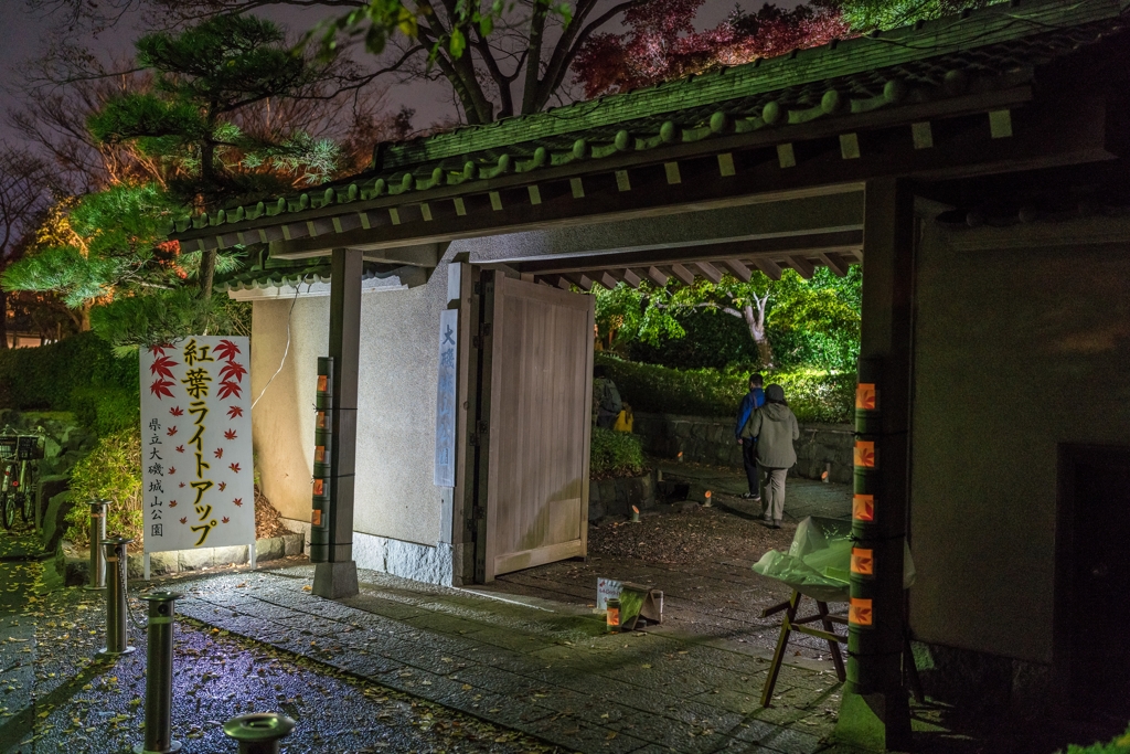 大磯城山公園　紅葉ライトアップ
