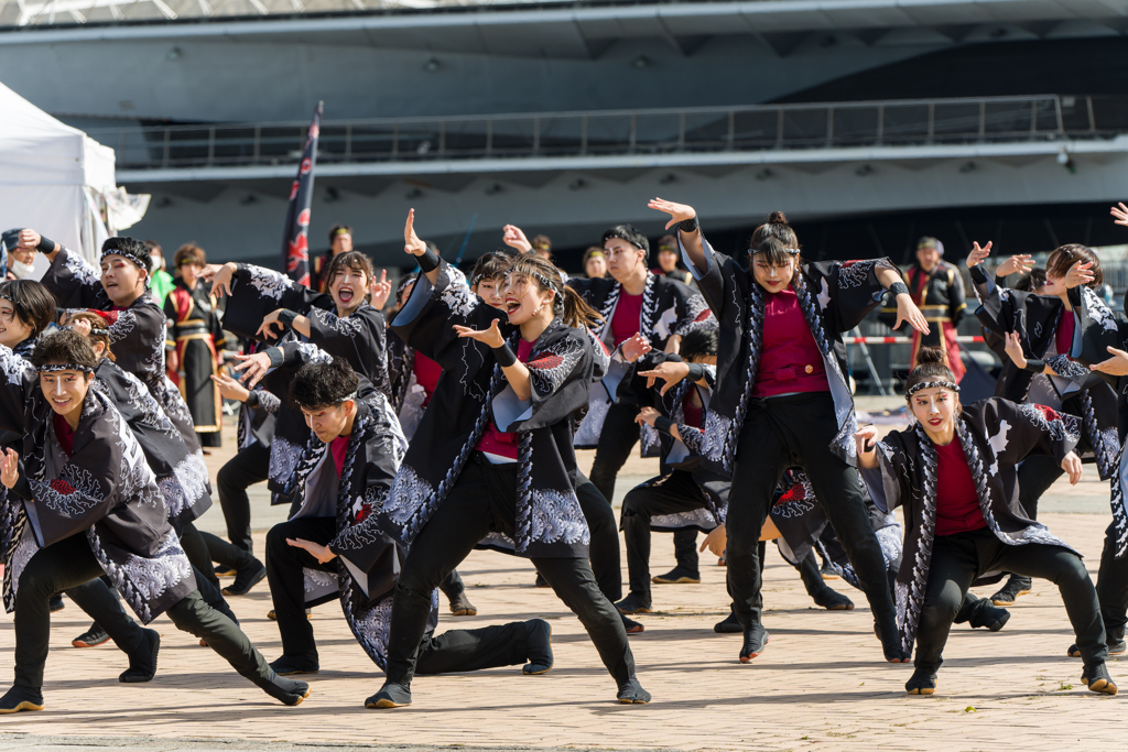 横浜よさこい祭り2023