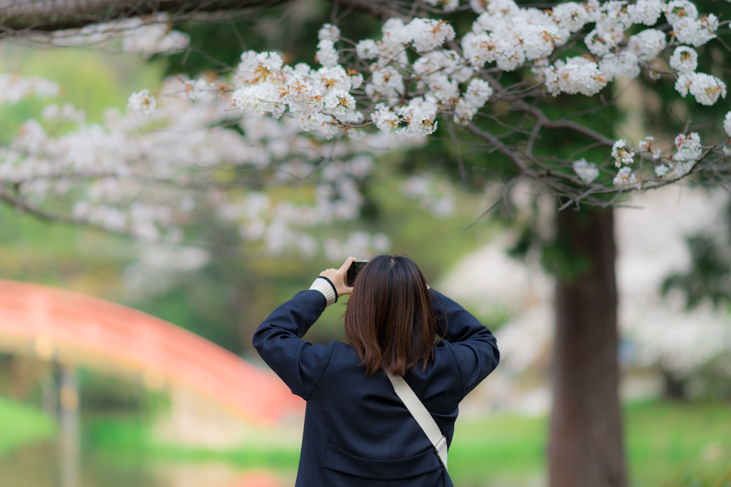 2024 春の称名寺